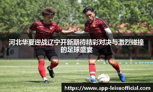 河北华夏迎战辽宁开新期待精彩对决与激烈碰撞的足球盛宴